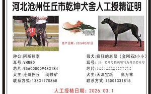 阿斯顿李X疯狂的老鼠 900168801097702.jpg