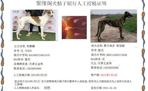 米麒麟X费尔南多·雪容融 900215004775636.jpg