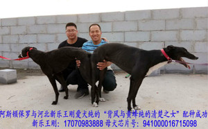 阿斯顿保罗X纯的 BFQC 73F，941000016715098.jpg