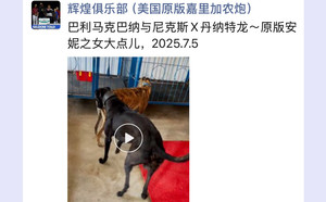 巴利马克巴纳X大点儿 900115001743657，NGXH720M23.jpg