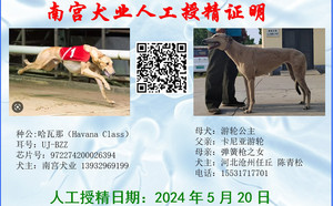 哈瓦那X天元号 988000001880270.jpg