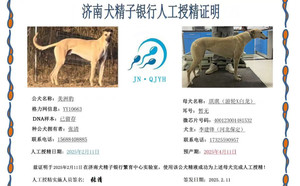 美洲豹X琪琪 400123001481532.jpg