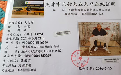 大白财 990000015146040，T9Y04