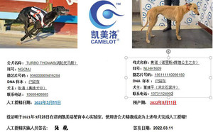 涡轮托马斯X黄诺 156111110098180，NLHH1609.jpg
