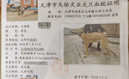 小海浪 BLHS2，515000187032406