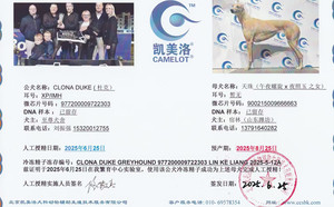 杜克X天珠 900215009666663.jpg