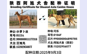 小萝卜丝X可乐 990000006890785.jpg