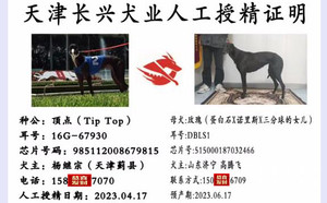 顶点X玫瑰 DBLS1，515000187032466.jpg