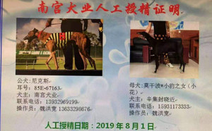 尼克斯X大清花900128001208282，M1310.jpg