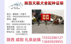 狸喷射X黑妞 900022050091358.jpg