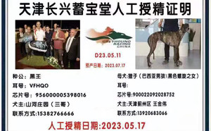 黑王X狸子900022092028752.jpg