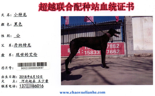 小特龙 900215000050697
