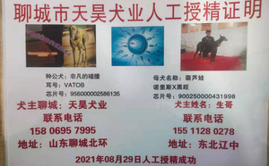 非凡的碰撞X葫芦娃 900250000431998，NLHW1301.jpg