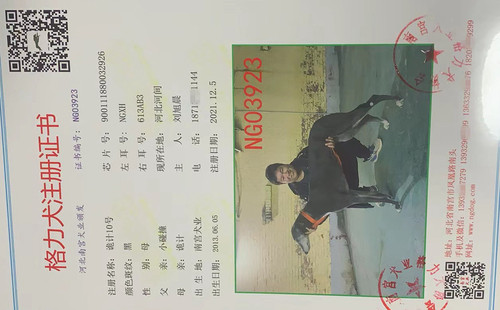诡计10号 NGQX 613M，900111880032926