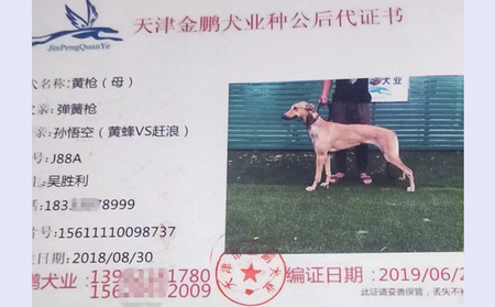 黄枪 156111110098737，J88A