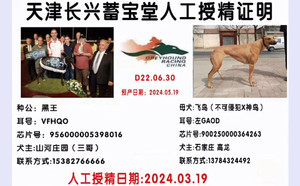 黑王X飞鸟 900250000364263，GAOD.jpg