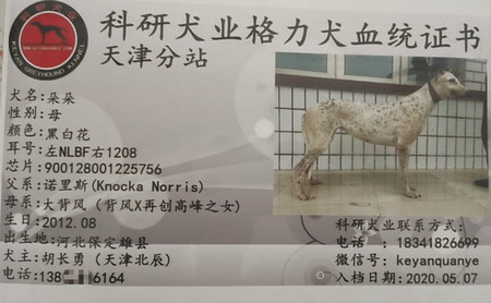 朵朵 900128001225756，NLBF1208