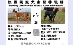 小萝卜丝X黑钻 900219001283858.jpg