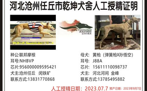 联邦摩根X黄枪 156111110098737，J88A.jpg