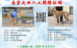米奇杜X黄鼠狼 941000225081533，TY901.jpg