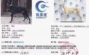 黑快X草白 941000225080882.jpg