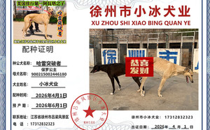 哈雷突破者X保罗公主 900215002446180.jpg