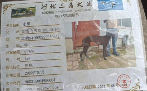 小黑 900215004956604，72N