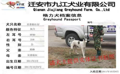 贝蒂脸红仔 HFBD 21B