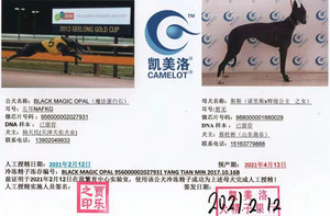 魔法蛋白石X斯斯988000001880029.jpg