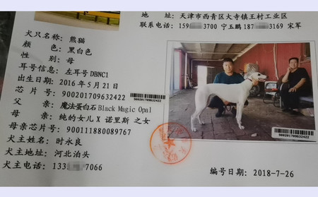 熊猫 DBNC1，900201709632422