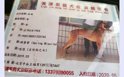玲珑 900128001225742，THJ1903
