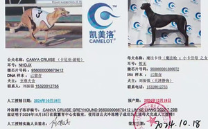卡尼亚游轮X魔法卡佳 988000001880072.jpg