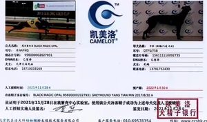 魔法蛋白石X子弹 DTFS 75B，156111110092735.jpg