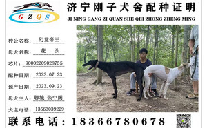 幻觉帝王X花头 900022092028755.jpg