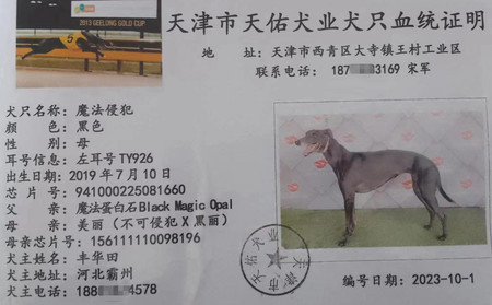 魔法侵犯 941000225081660，TY926