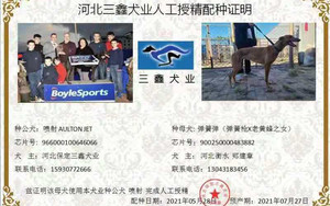 喷射X弹簧蛋 J69A，900250000483882.jpg