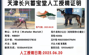 斗牛士X哈利小公主 900215004179694.jpg