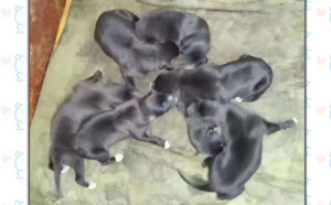 托尼X钢铁雪碧 156111110066904.jpg