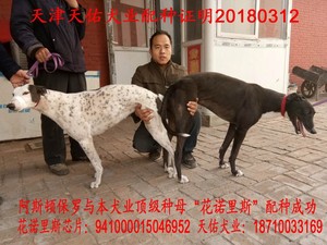 阿斯顿保罗X花诺里斯 941000015046952.jpg