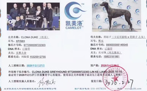 杜克X黑妞子 990000006148546.jpg