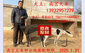 战狼X图像62号 NGXH 616M，156111110088327.jpg