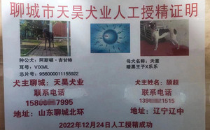 阿斯顿·吉甘特X天意 YY4924.jpg