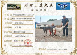 奇怪的男孩X熊猫900201709632422.jpg