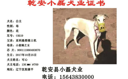 公主 900111880483870，OR19