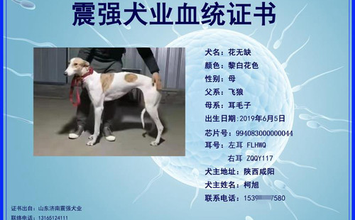 花无缺 994083000000044