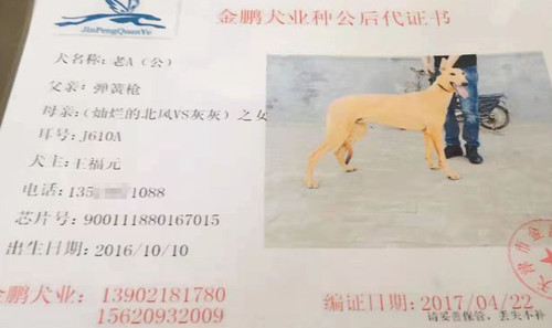 老A 900111880167015，J610A