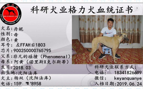 丹妮 900250000765795，FFAH1803