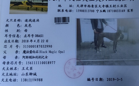 速战速决 DBAS1，515000187032990