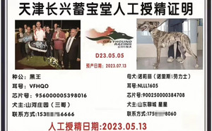 黑王X诺莉丽 900250000384708，NLLL1605.jpg