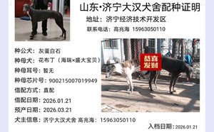 灰蛋白石X花布丁 900215007019949.jpg